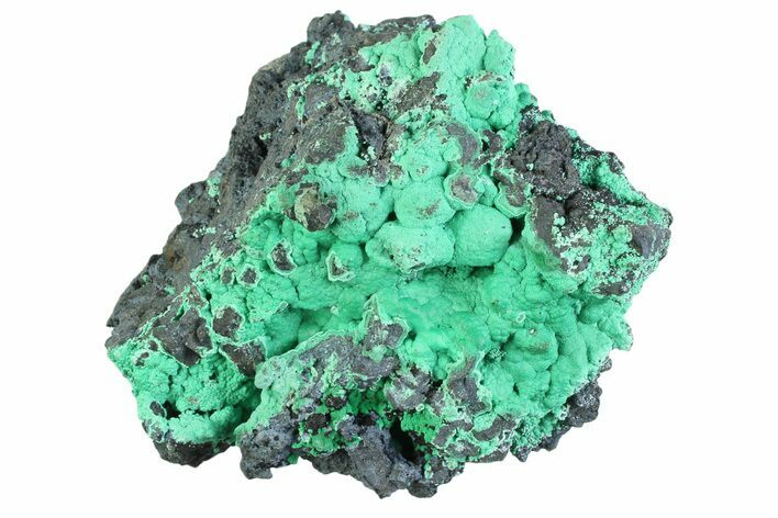Blue-Green Botryoidal Chrysocolla - Planet Mine, Arizona #358306